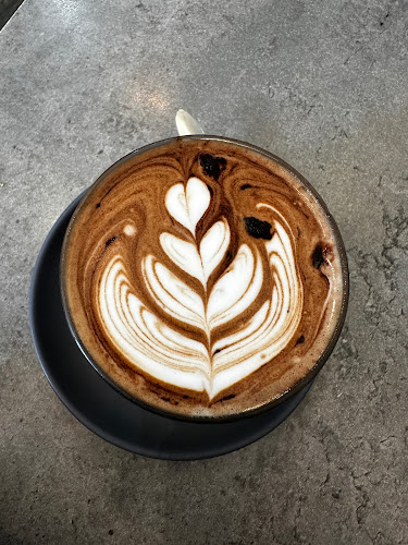 Ariel's Figtree - Figtree