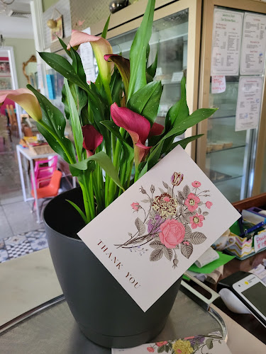 Lambton Park Tearooms