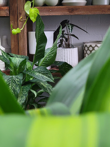 5C/20 Elizabeth St, Delacombe VIC 3356