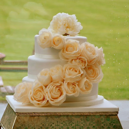 10 Darghan St, Glebe NSW 2037