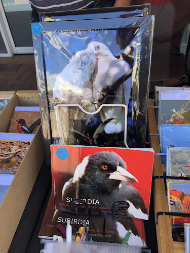 Glebe Ave, Queanbeyan NSW 2620