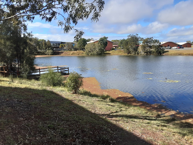 Opinii despre Liuzzi st lunch box în Pialba - Hospitality and gastronomy