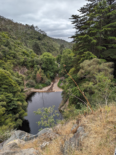 Opinii despre Utopia @ Waterfall Gully în Adelaide - Hospitality and gastronomy