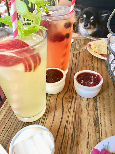 The Tea Cosy - Hospitality and gastronomy