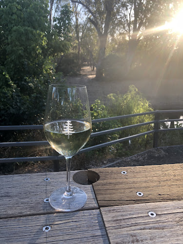 The Social Wine Bar - Hospitality and gastronomy