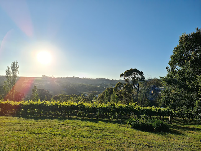 Borrodell Vineyard, Cellar Door & Wedding Venue - Orange