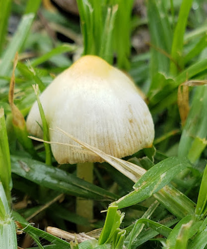 3664 Hill End Rd, Hill End NSW 2850