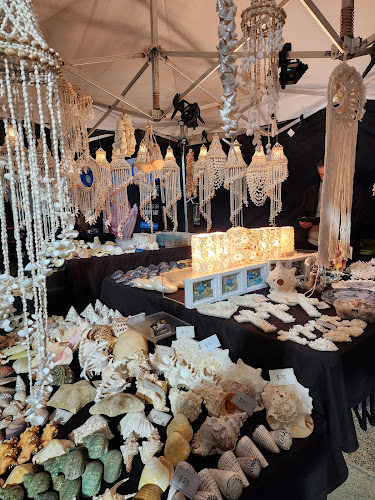 The Foreshore, Surfers Paradise QLD 4217