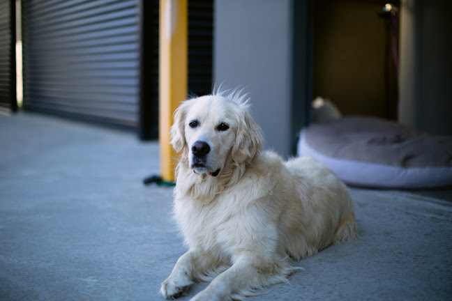 Lionheart Cafe - East Bendigo