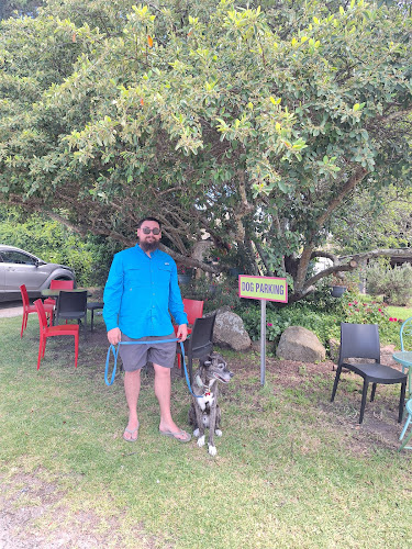 Comentarii opinii despre Suttons Juice Factory