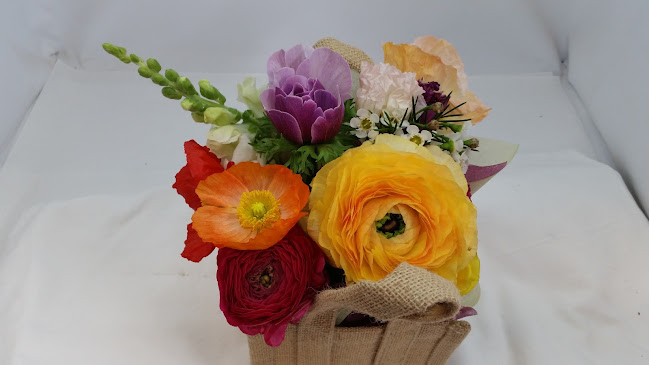 Comentarii opinii despre Pink Orchid Cafe