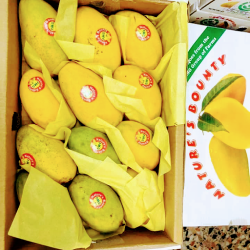 Agha juice - Hospitality and gastronomy