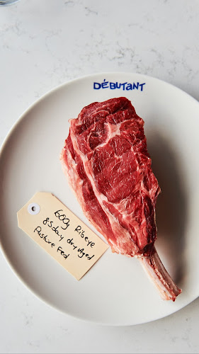 Comentarii opinii despre Debutant