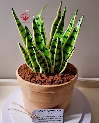 Cakes by Nilu - Hospitality and gastronomy