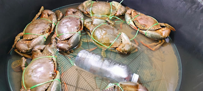 Cathy’s Place - Larrakeyah