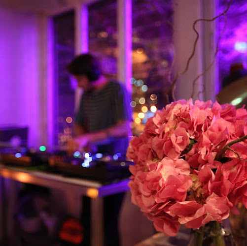 The Trader Bar - Hospitality and gastronomy