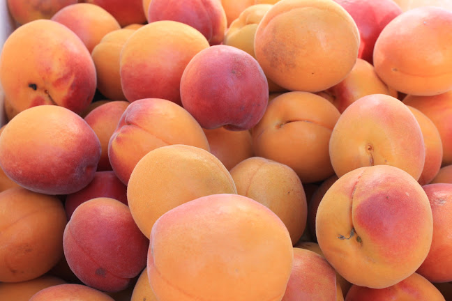 Opinii despre Yarralee Orchard în Kelso - Hospitality and gastronomy