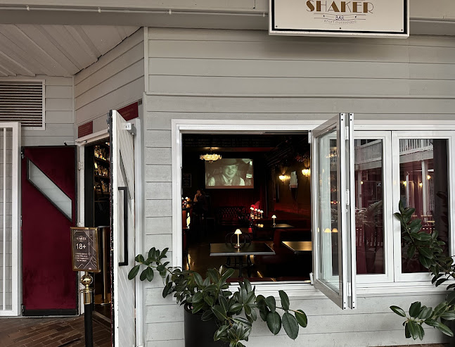 Comentarii opinii despre Boston Shaker Bar