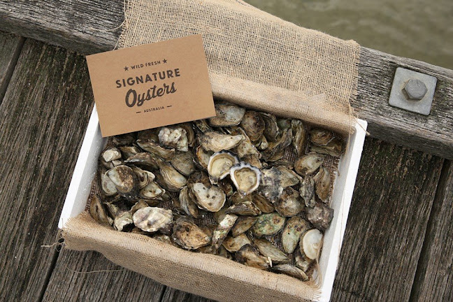 Signature Oysters - Hospitality and gastronomy