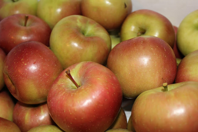 Comentarii opinii despre Yarralee Orchard