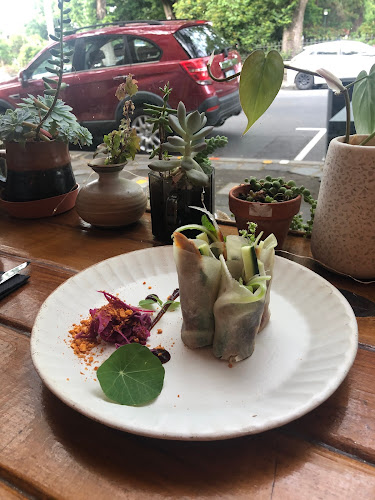 Monsoon Launceston - Hospitality and gastronomy