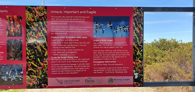 Barengi Gadgin Coffe Van - Hospitality and gastronomy