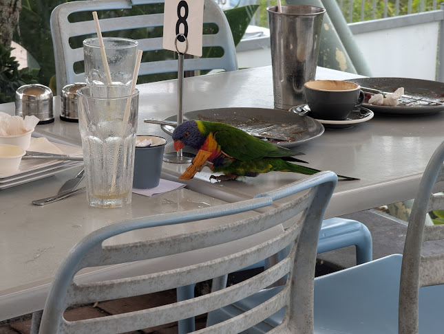 Comentarii opinii despre Inner Light Tea Rooms