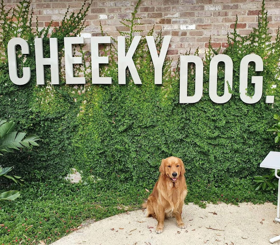 Cheeky Dog - Hospitality and gastronomy