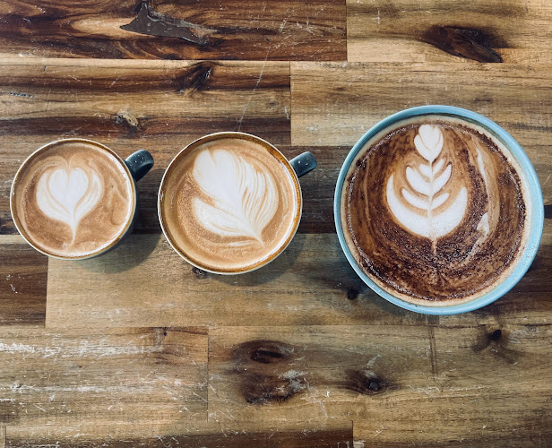 1a/2475 Gold Coast Hwy, Mermaid Beach QLD 4218