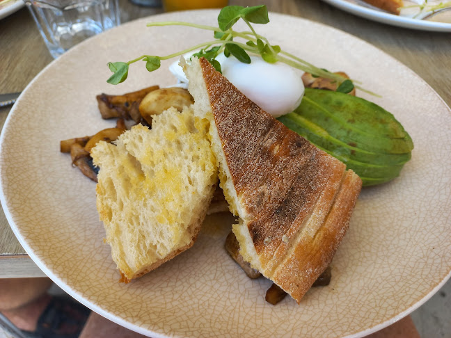 Opinii despre Cafe Gold Coast în Labrador - Hospitality and gastronomy