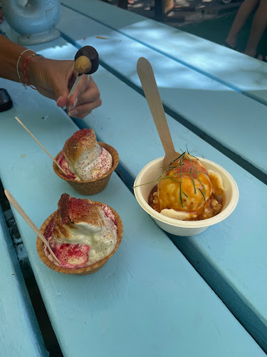 Comentarii opinii despre Natural Icecream Australia