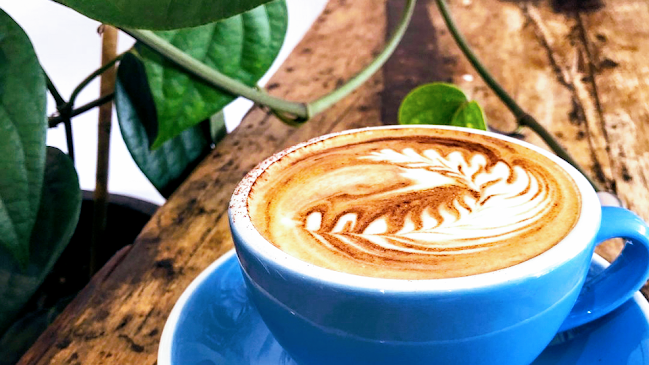 Opinii despre Caffiend în Cairns City - Hospitality and gastronomy