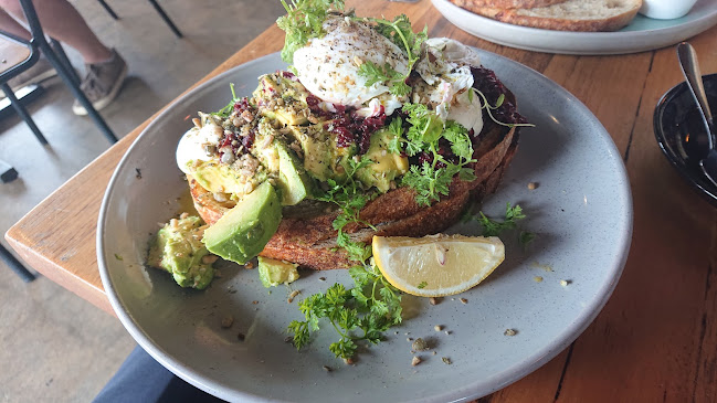 Comentarii opinii despre Alfa. Seddon