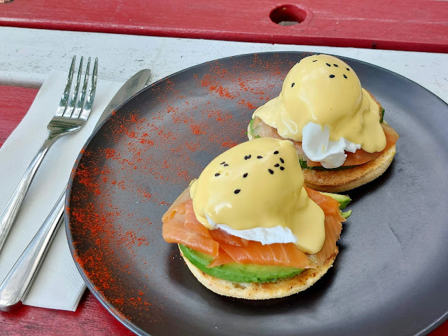 Little Red Duck Cafe - Hospitality and gastronomy