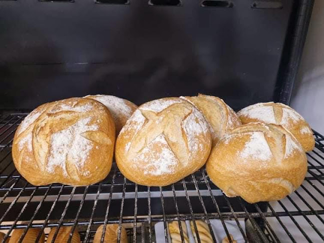 Opinii despre LIVE 'N' LET PIE în Goolwa - Hospitality and gastronomy