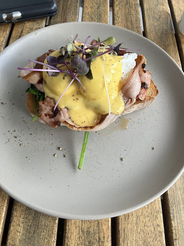 Roam - Port Macquarie