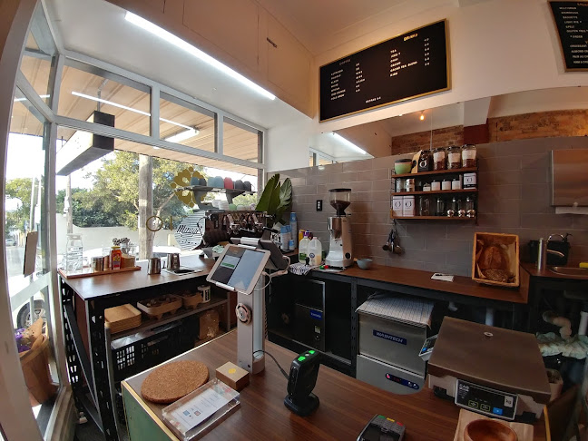 1/31 MacDonald St, Paddington NSW 2021