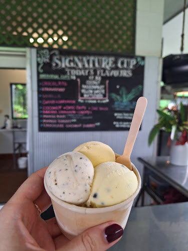 1819 Cape Tribulation Rd, Diwan QLD 4873