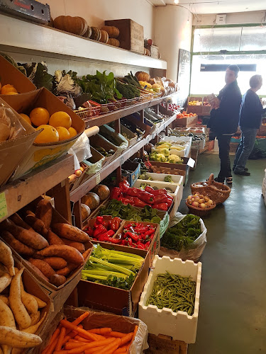 Organically Grown - Hospitality and gastronomy