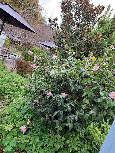 Comentarii opinii despre The Ethical Food Store