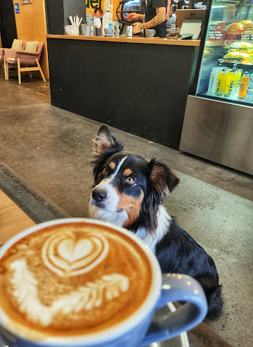 Opinii despre Pogo Coffee Roasters în Adelaide - Hospitality and gastronomy