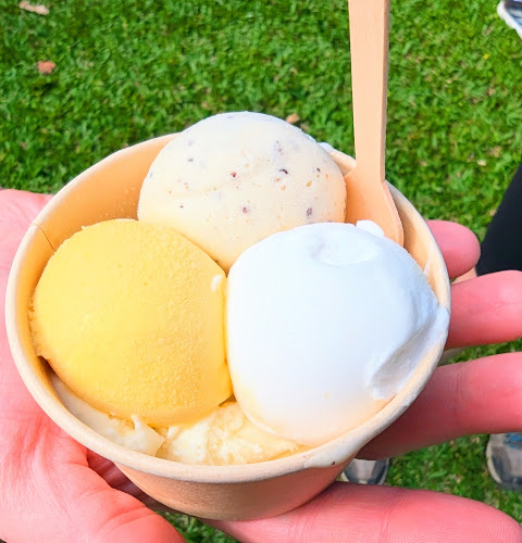 Daintree Ice Cream Company - Hospitality and gastronomy