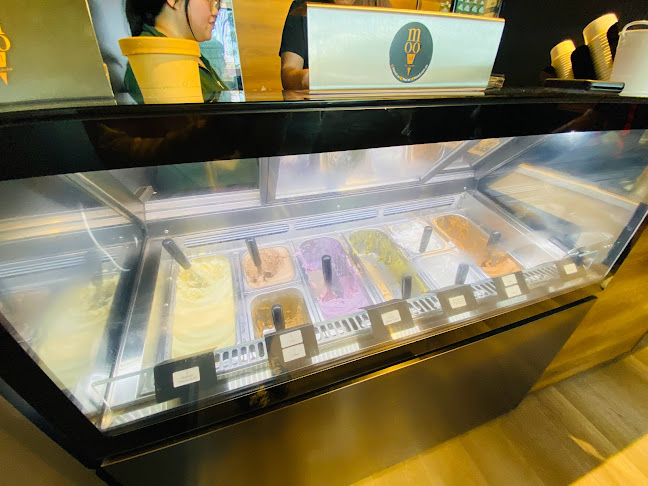 Moo'ed Ice Cream - Hospitality and gastronomy