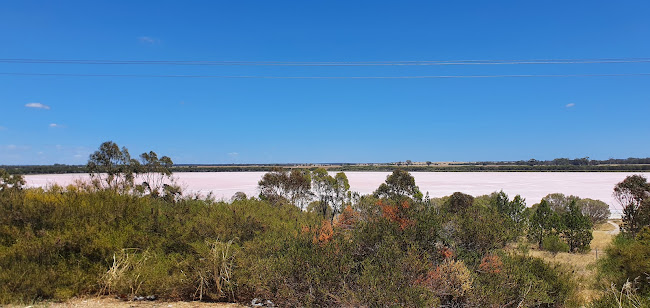 Barengi Gadgin Coffe Van