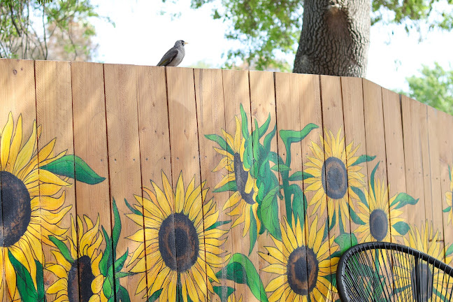 The Golden Fleece Cafe - Willunga