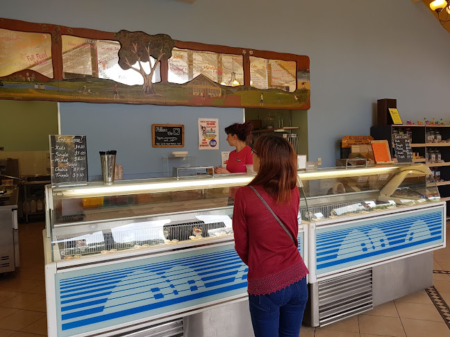 Oggies Ice Cream Cafe - Hospitality and gastronomy