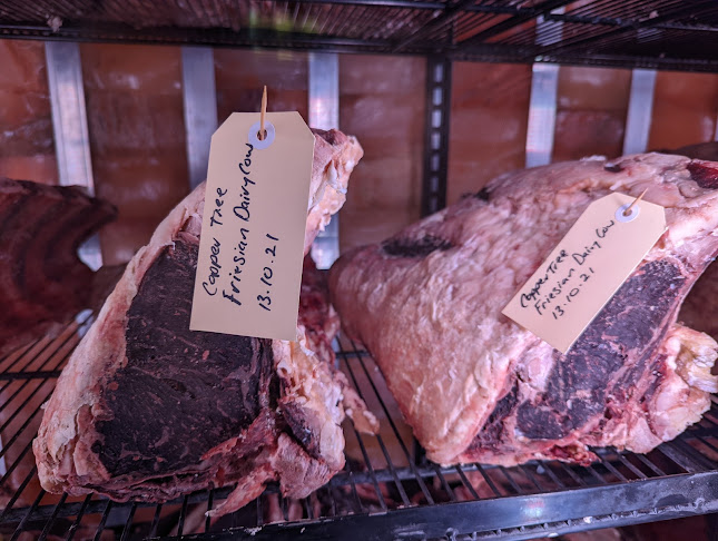 Debutant - Wollongong