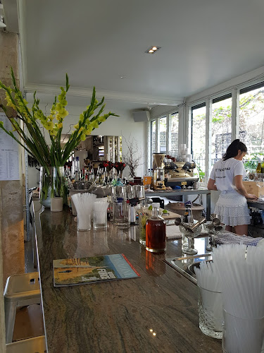 Opinii despre The Trader Bar în Darwin City - Hospitality and gastronomy