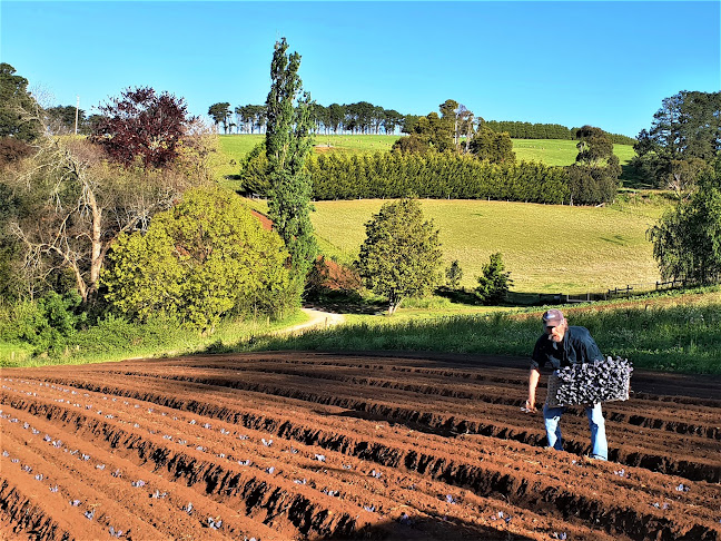 Comentarii opinii despre Thorpdale Organics