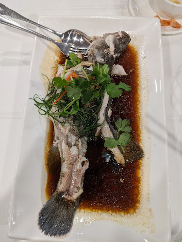 1/31-39 Gouger St, Adelaide SA 5000